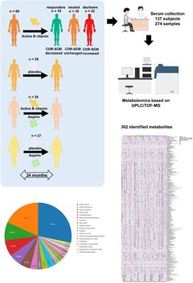 Metabolic Basis of Cognitive Improvement Associated With Active B Vitamin Supplementation in Cognitively Impaired Elderly Subjects – A Metabolomics Study